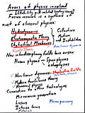 page 06